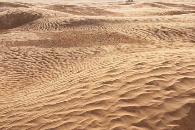 Einsame Sanddünen bei starkem Wind unter dem Himmel vor dem Hintergrund der trockenen Wüste
