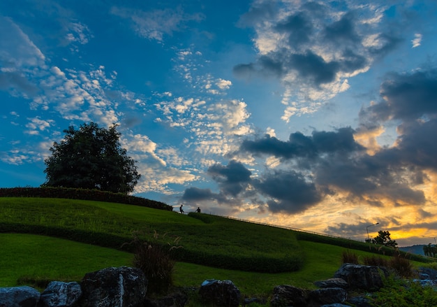 einsamer Baum und Sonnenuntergang Himmel