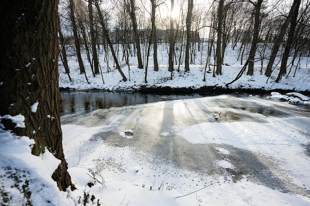 Einsamer Reiher auf einem zugefrorenen Fluss im Winterwald