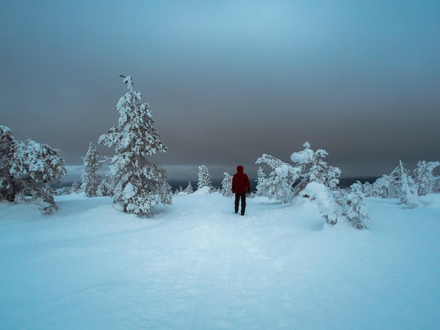 Einsamer Reisender im düsteren Winterwald der Dämmerung Polarexpedition