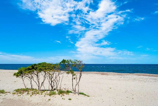 Einsamer Strand im Sommer