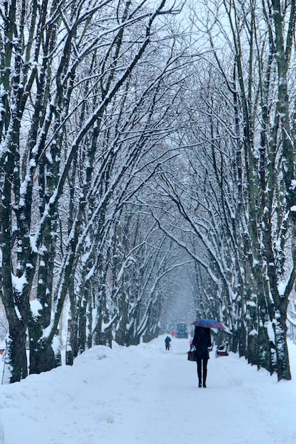 Einsames Mädchen unter Regenschirm spaziert bei Schneefall im Winterpark. Schöner Park mit Bäumen u