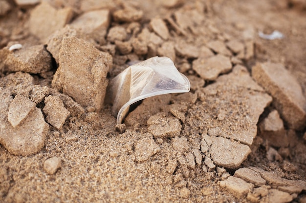 Einweg-Plastikbecher im Sand Meeresmüll am Strand Plastikverschmutzung am Strand Stoppt die Plastikverschmutzung Müll an der Küste Müllkatastrophe Verbot der Einwegnutzung Null Abfall