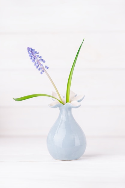 Foto einzelne muscari-blume