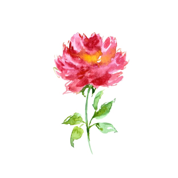 Einzelne Rose. Handgezeichnete Aquarellblume Blumengrußkartendekor Hochzeitseinladungsdesign