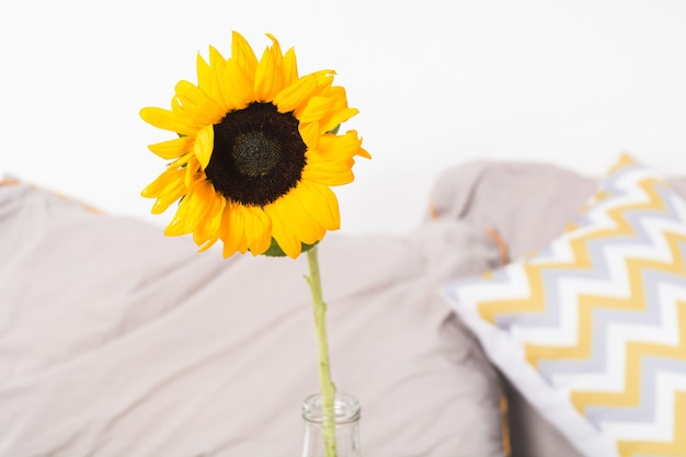 Einzelne schöne gelbe Sonnenblume in der Vase nahe dem Bett im Schlafzimmer