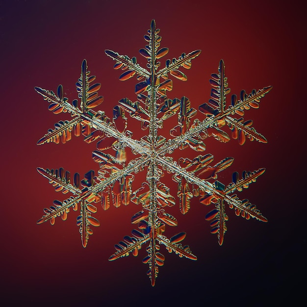 einzelnes Isolat des natürlichen Kristalls der Schneeflocke, transparenter abstrakter Fotohintergrund
