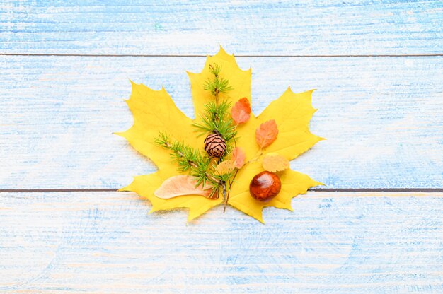 Einzelnes rotes und gelbes trockenes Herbstahornblatt, darüber Kastanien, Ahornsamen und ein Lärchenzweig mit Zapfen auf blauem Holzhintergrund. Herbstkonzept, flach legen