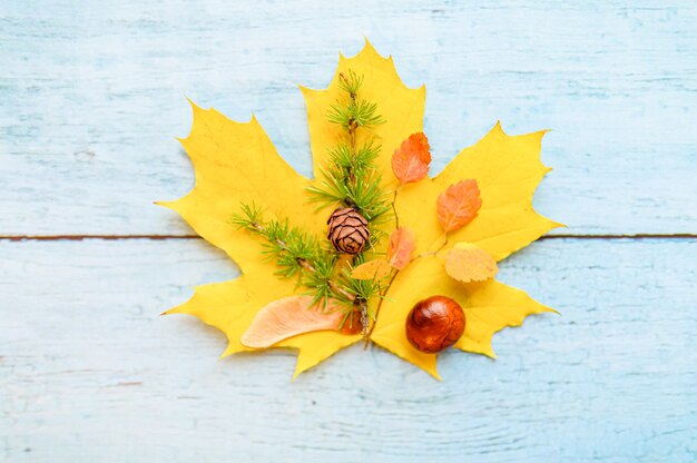 Foto einzelnes rotes und gelbes trockenes herbstahornblatt, darüber kastanien, ahornsamen und ein lärchenzweig mit zapfen auf blauem holzhintergrund. herbstkonzept, flach legen