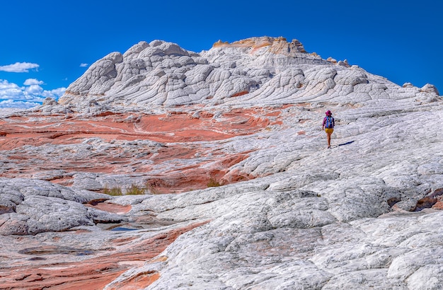 Foto einzigartige formation von stone, white pocket arizona