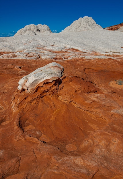 Einzigartige Formation von Stone, White Pocket Arizona