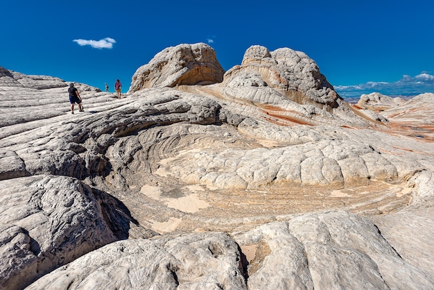 Foto einzigartige formation von stone, white pocket arizona