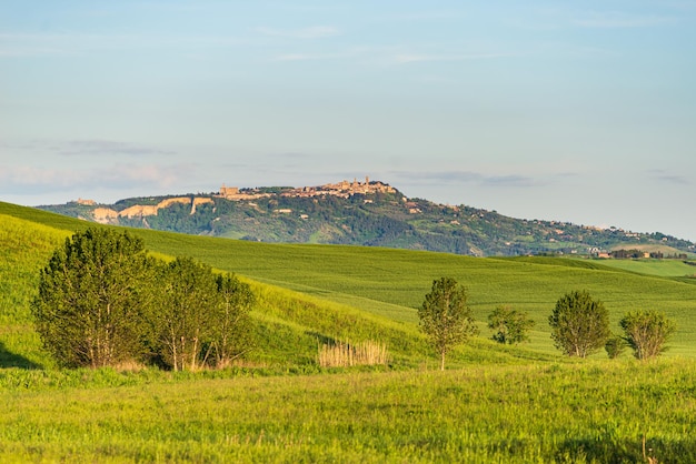 Einzigartige grüne Landschaft im Volterra-Tal Toskana Italien Szenischer dramatischer Himmel und Sonnenuntergang über kultivierten Hügelketten und Getreidefeldern Toscana Italia