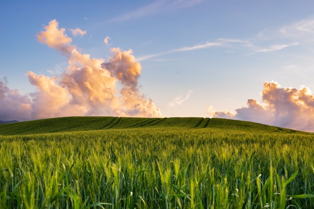 Einzigartige grüne Landschaft und kultivierte Hügelkette in der Toskana, Italien