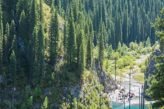 einzigartiger Bergsee von Kaindy in Kasachstan mit einem versunkenen Wald