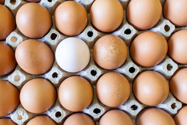 Eiplatte Ei Ente Lebensmittel Schale frisch braun