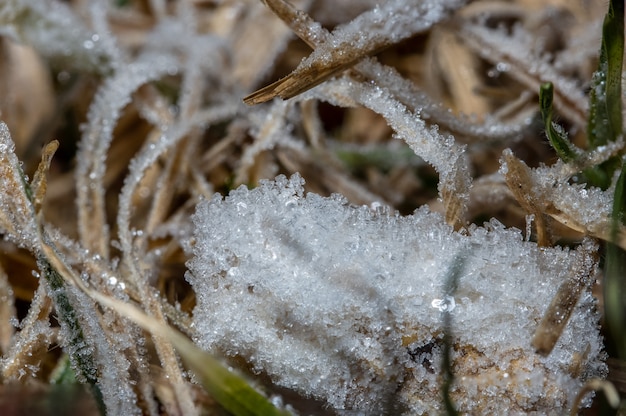 Eis auf dem Gras