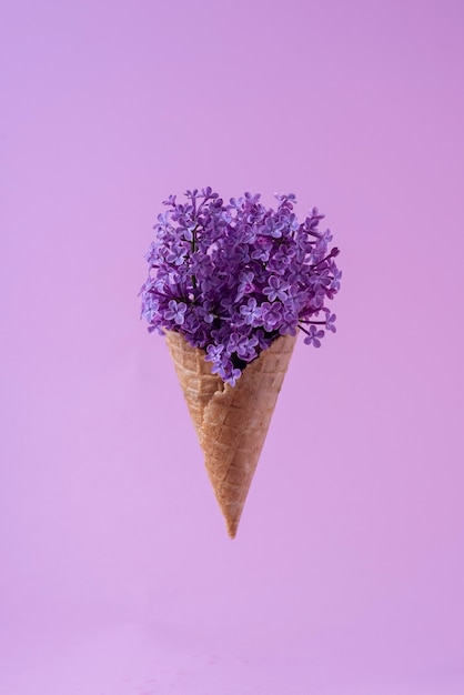 Eis aus lila Blüten in einem Waffelbecher auf violettem Hintergrund