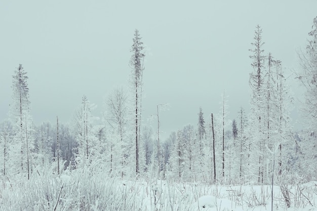 Eis, Schnee, kalter Klimahintergrund