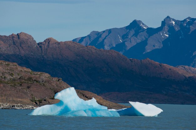 Eisberg schwimmt auf dem Lago Argentino