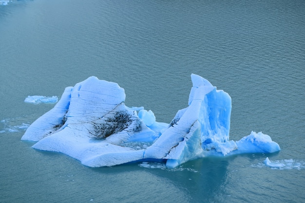 Eisberg schwimmt auf dem Lago Argentino