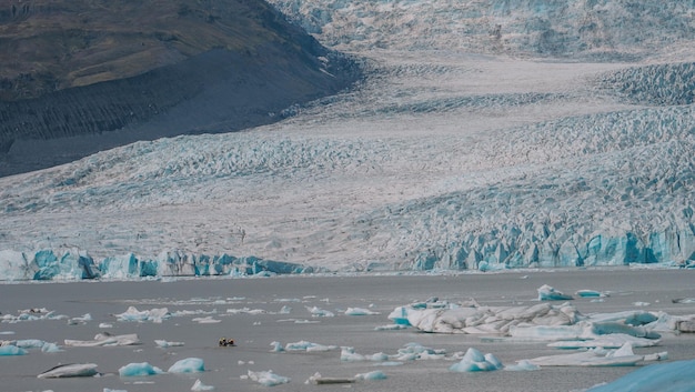 Eisberge und Eisgletscher in Island