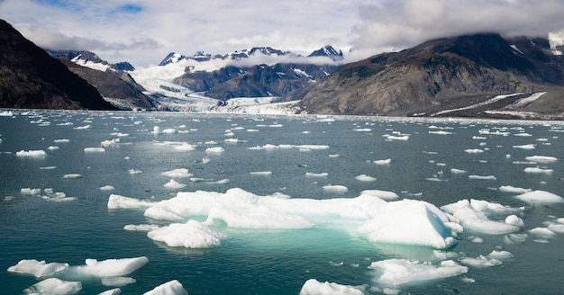 Eisbrocken, die von Bergen in den Schatten gestellt werden Aialik-Gletscher Alaska Kenia Fjorde