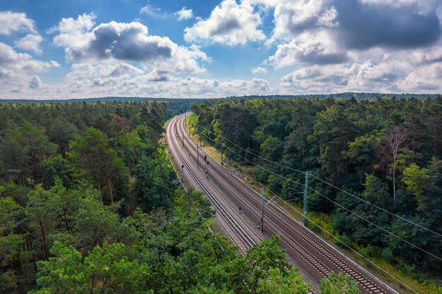 Eisenbahn durch Sommerwaldluftbild