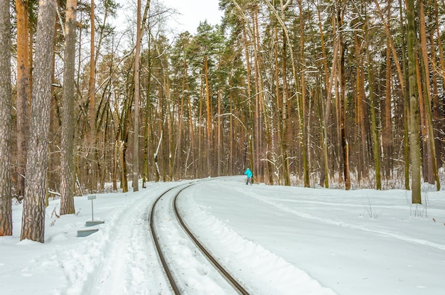 Eisenbahn im Winter im Wald.