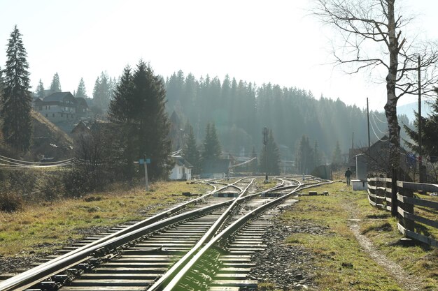 Eisenbahn in den Karpaten an sonnigen Tagen