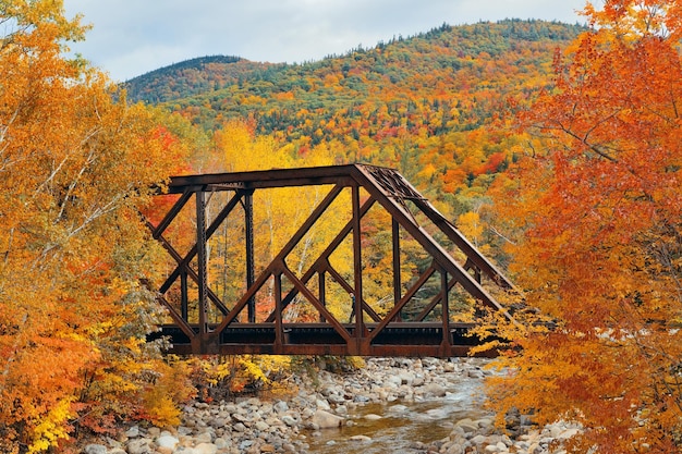 Eisenbahnbrücke im Wald mit buntem Laub, White Mountain, NH