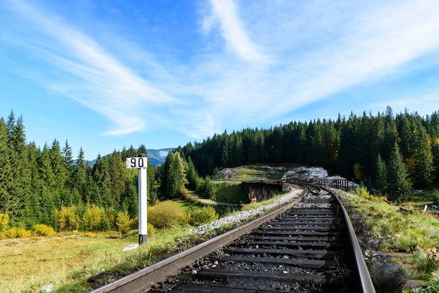 Foto eisenbahnen in den karpaten, die sich in die ferne gegen den blauen himmel erstrecken