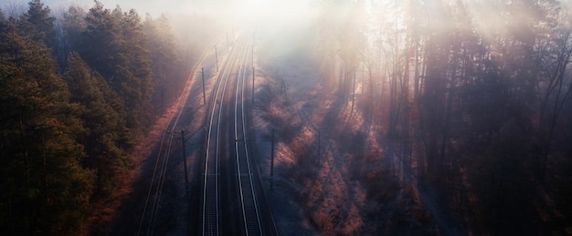 Eisenbahnherbstwald-Dämmerungsansicht von einer Höhe