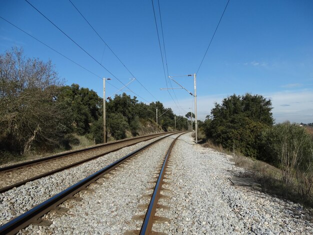 Foto eisenbahnschienen an bäumen vor klarem himmel