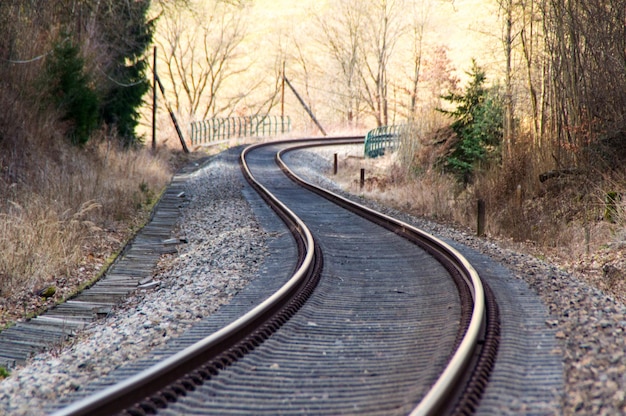 Foto eisenbahnschienen an einer straße inmitten von bäumen