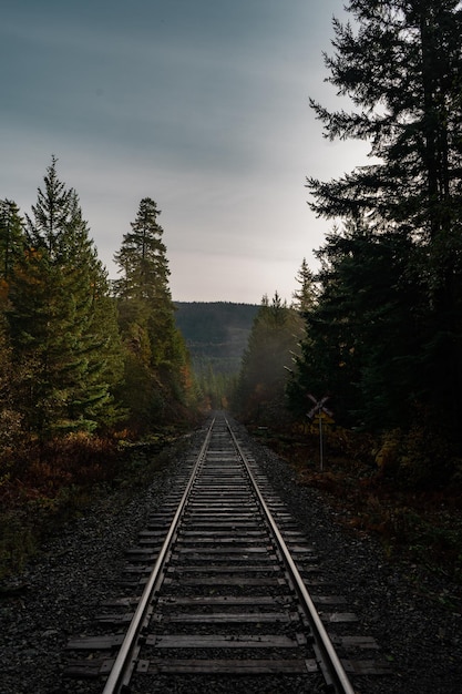 Eisenbahnschienen auf dem Feld