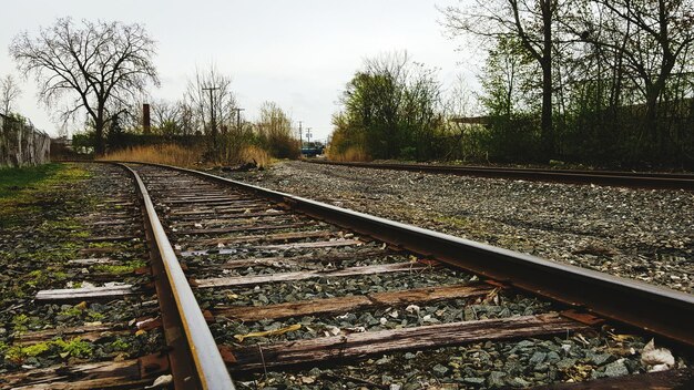 Foto eisenbahnschienen auf dem land