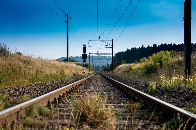 Foto eisenbahnschienen durch bäume gegen den himmel