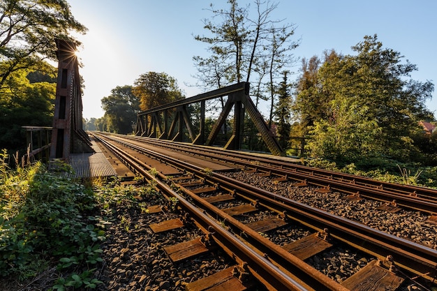 Eisenbahnschienen durch Bäume gegen den Himmel