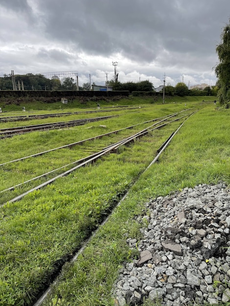 Eisenbahnschienen im grünen Gras unter grauem Himmel