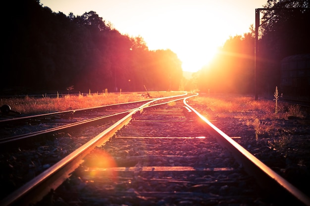 Eisenbahnschienen inmitten der Bäume an einem sonnigen Tag