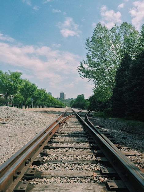 Eisenbahnschienen inmitten von Bäumen auf dem Feld
