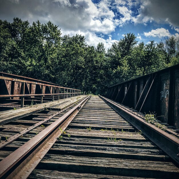 Foto eisenbahnschienen inmitten von bäumen gegen den himmel