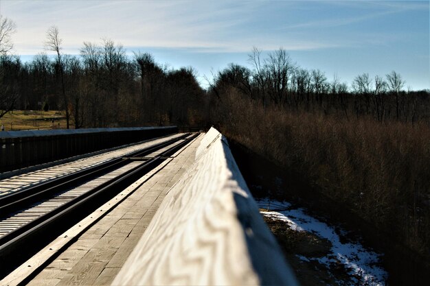 Foto eisenbahnschienen inmitten von bäumen gegen den himmel