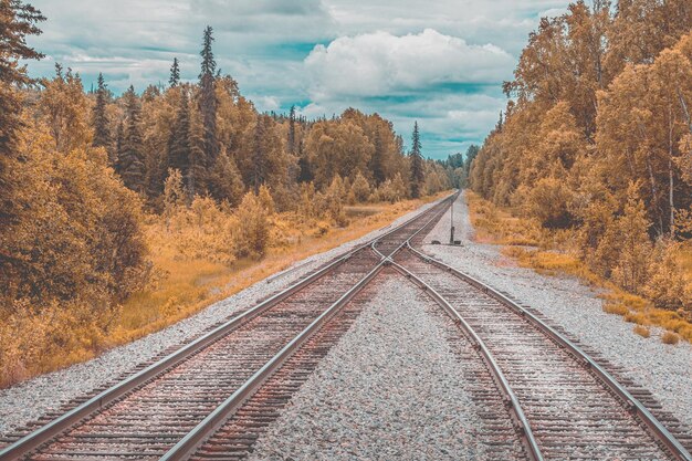 Eisenbahnschienen inmitten von Bäumen im Herbst