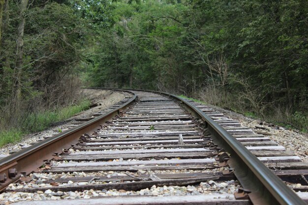 Foto eisenbahnschienen inmitten von bäumen im wald