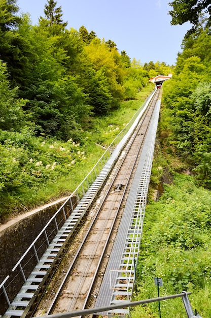 Foto eisenbahnschienen inmitten von bäumen