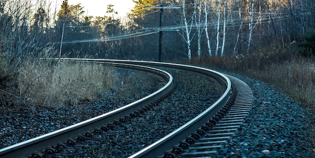 Foto eisenbahnschienen inmitten von bäumen