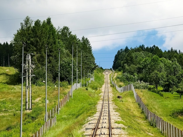 Foto eisenbahnstrecke inmitten von bäumen gegen den himmel