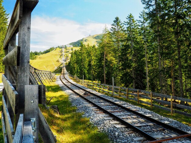 Foto eisenbahnstrecke inmitten von bäumen gegen den himmel